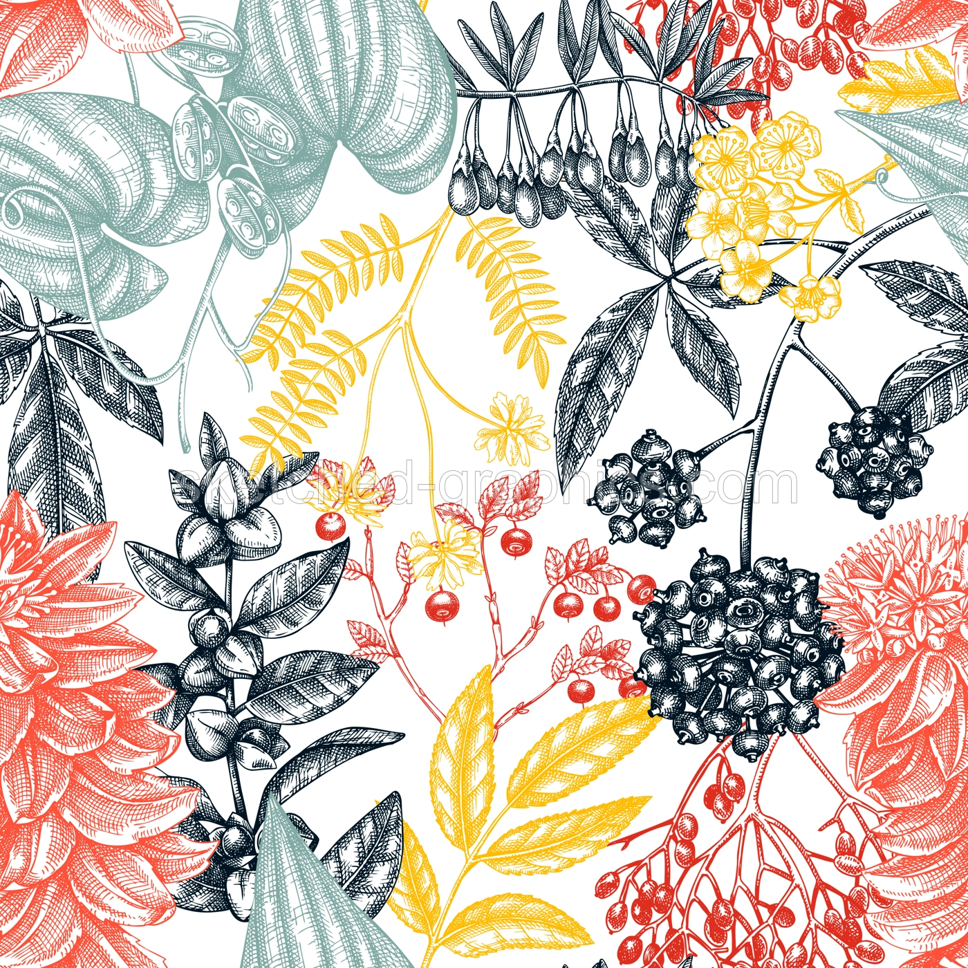 Adaptogenic plants seamless pattern. Hand-sketched medicinal herbs, weeds, berries, leaves vector background. Perfect for labels, packaging, wrapping paper, fabric. Botanical illustration in color Illustration